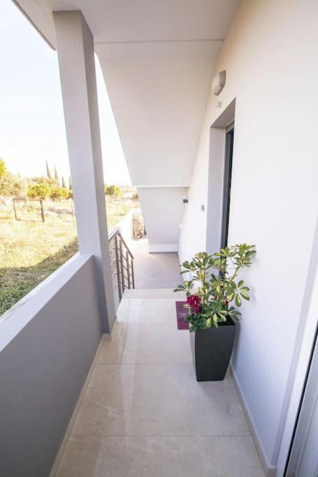 Over The Horizon 3 Bedroom Apartment Nafplio Exterior foto
